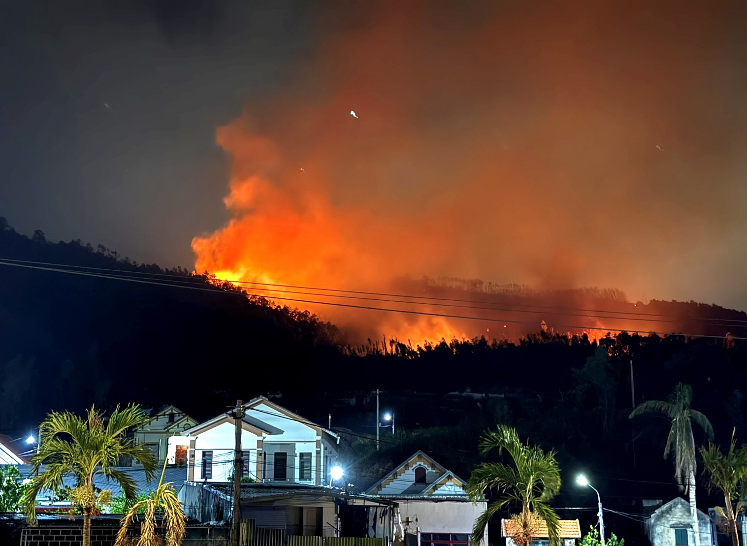 Cháy rừng - Sự cố hy hữu từ một con cá rơi xuống trời