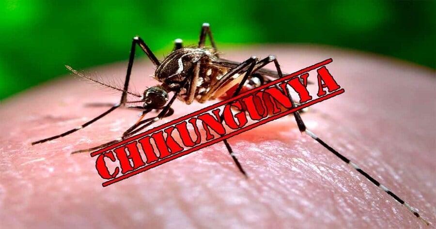 Combating the Virus Chikungunya - Strategic Measures and International Lessons for Vietnam’s Preparedness