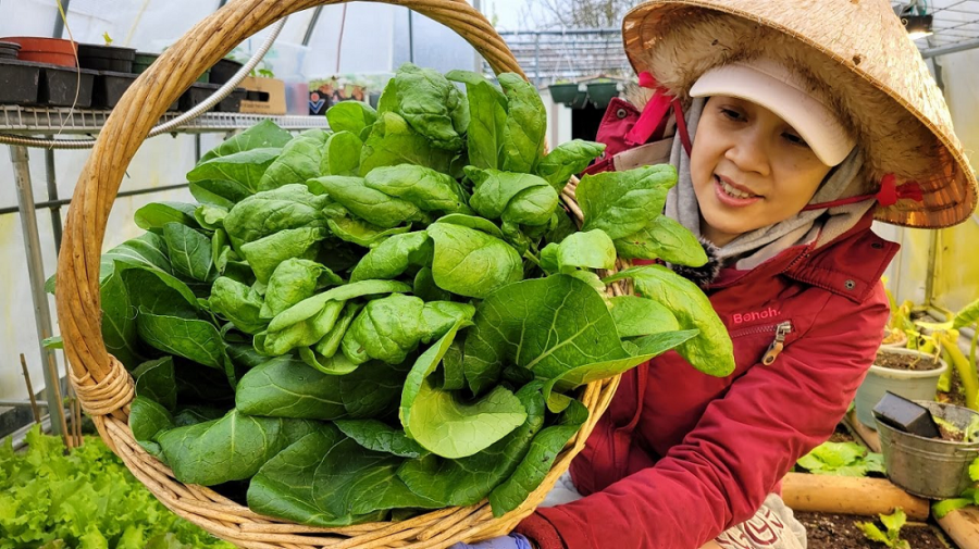 Đi chợ mua rau và những bước tiến trong thanh toán không tiền mặt tại Việt Nam